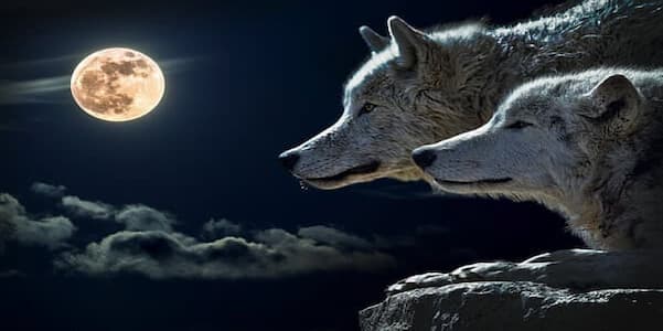 The January Wolf Moon.